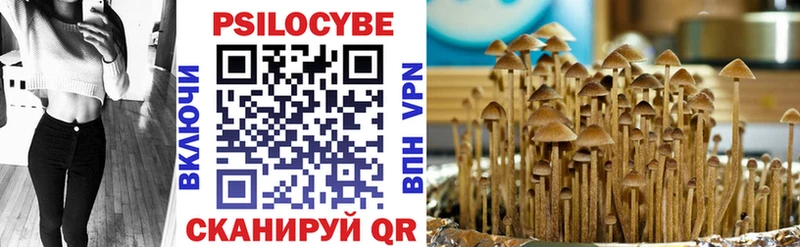Галлюциногенные грибы мицелий  Карачев 